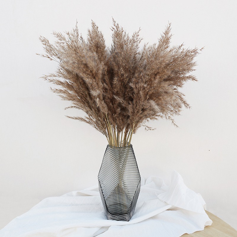 Pampas Grass Decor - 10 Adet Renkli Doğal Sazlık Pampas