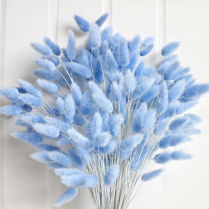 Pampas Grass Decor - 100 adet mavi tavşan kuyruğu çim