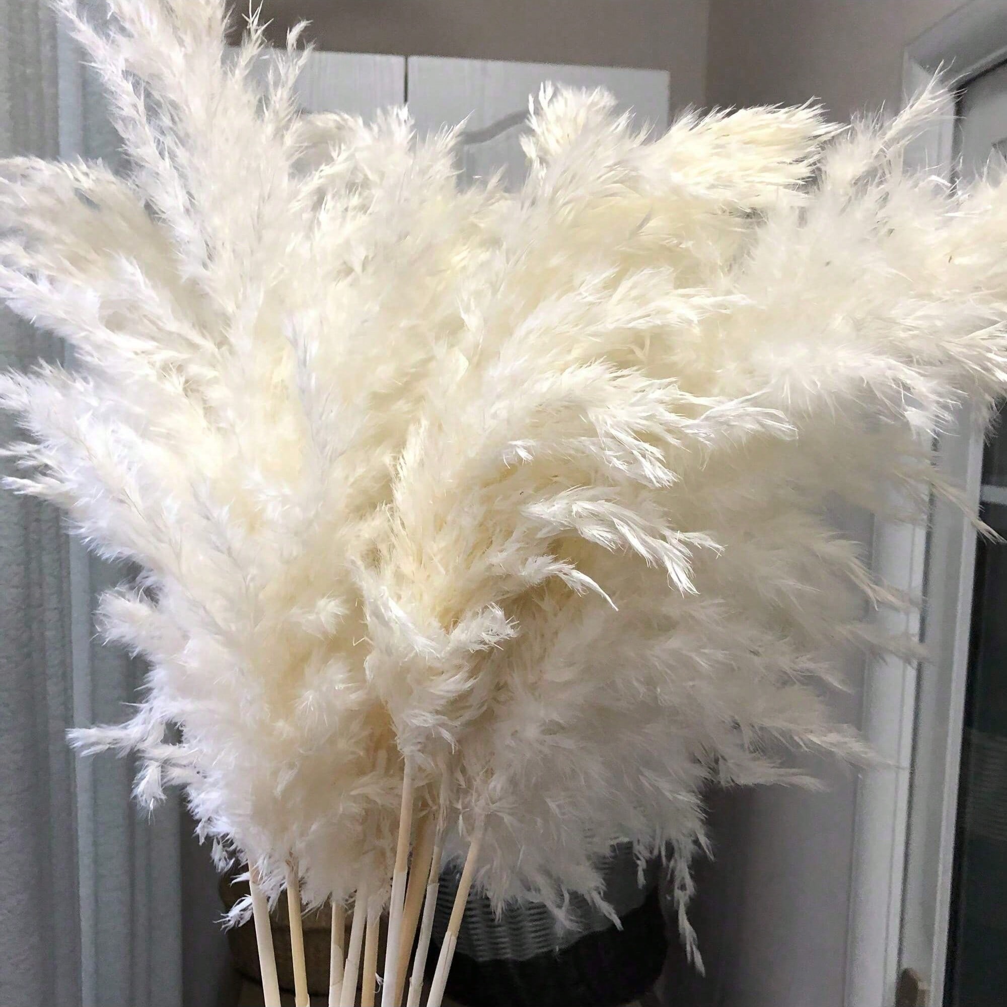 10/20/30 adet Beyaz Yapay Pamp - Pampas Grass Decor incelemesi ve fiyatı